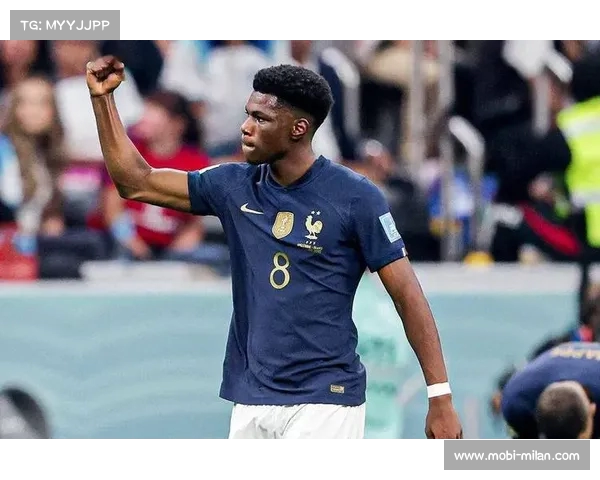 世界杯预选赛法国楚阿梅尼远射破门