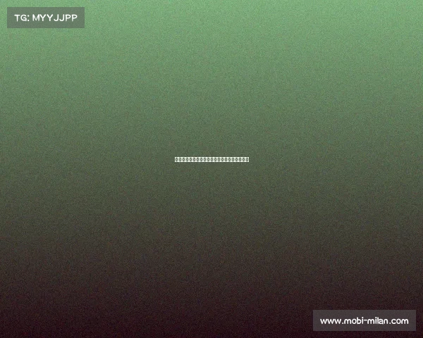 德甲赛事回顾：勒沃库森与沃尔夫斯堡平分秋色